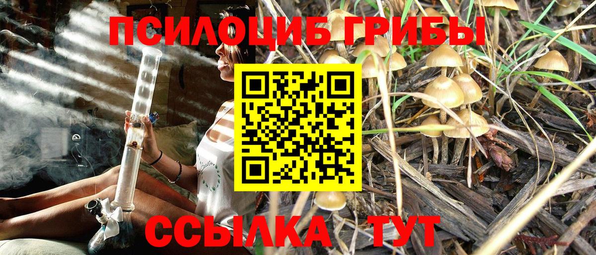 Кореновск  Галлюциногенные грибы Cubensis  Вход с VPN  Галлюциногенные грибы MAGIC MUSHROOMS 
